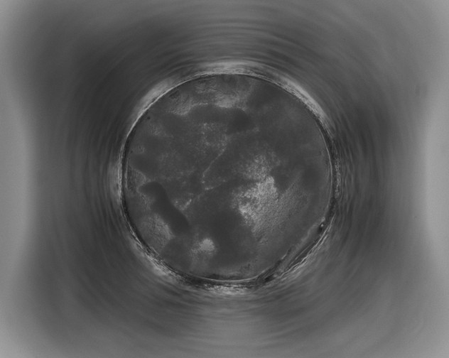 X0000116560994200912171406