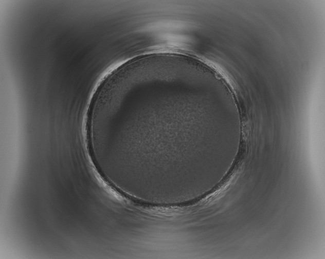 X0000116560995200912171406