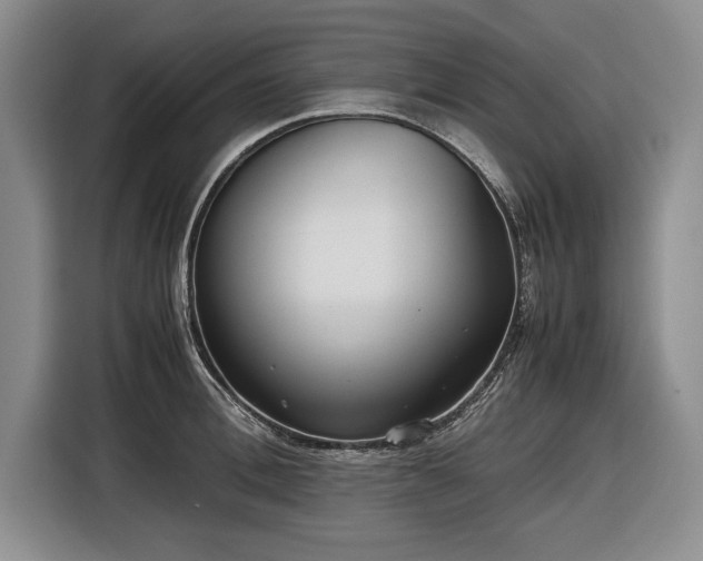 X0000116560996200912171406