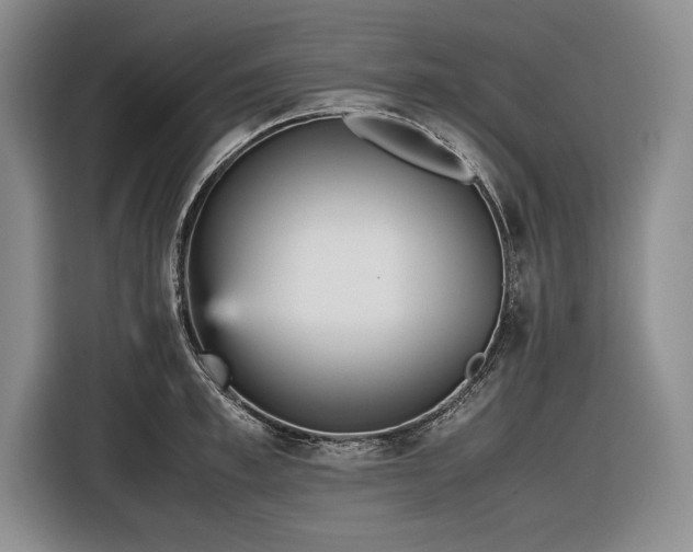 X0000116560997200912171406