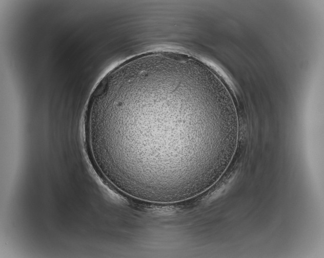 X0000116560999200912171406