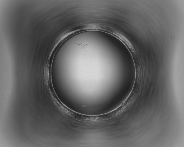 X0000116561000200912171406