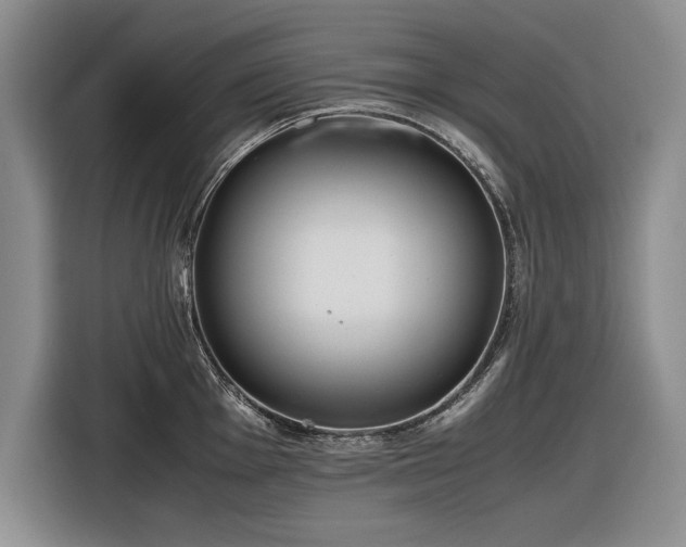 X0000116561001200912171406