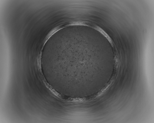 X0000116561002200912171406