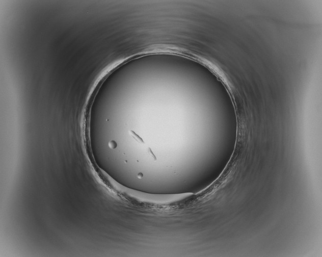 X0000116561003200912171406