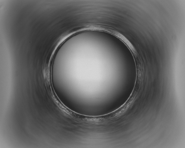 X0000116561004200912171406