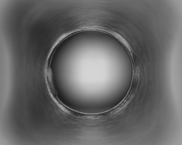 X0000116561005200912171406