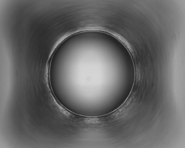 X0000116561006200912171406