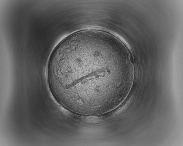 X0000116561007200912171406