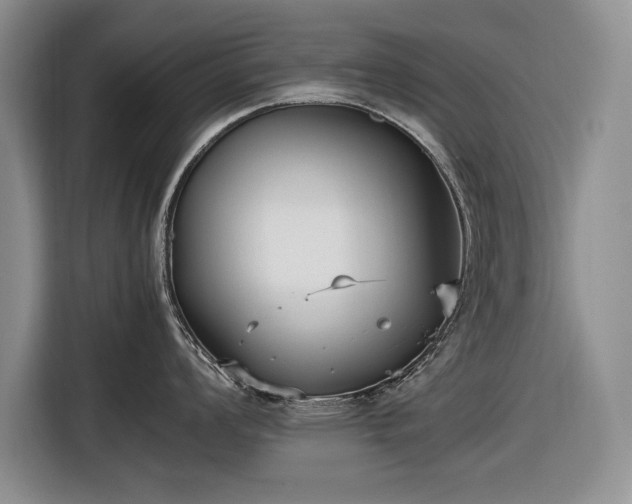 X0000116561008200912171406