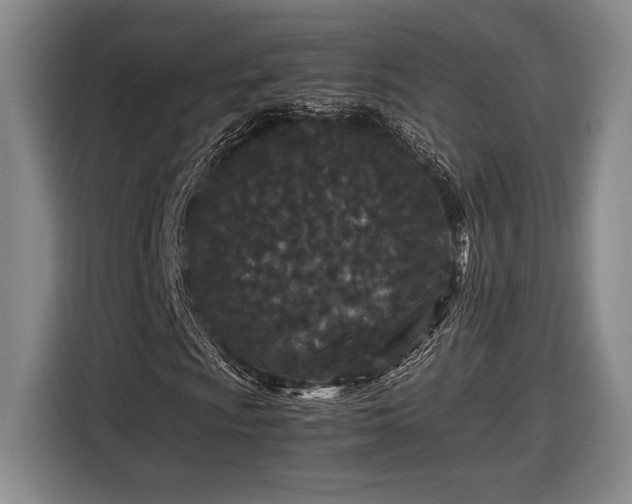 X0000116561009200912171405