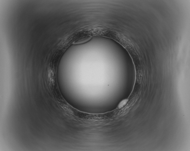 X0000116561010200912171405