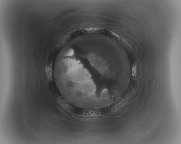 X0000116561011200912171405