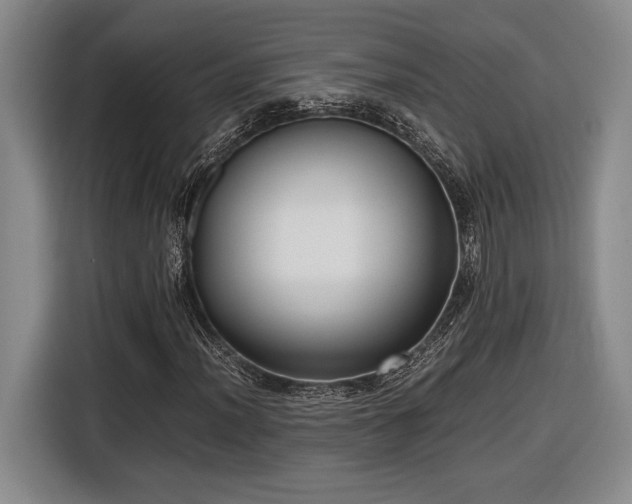 X0000116561012200912171405