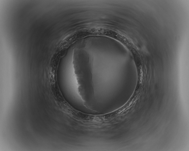 X0000116561013200912171405