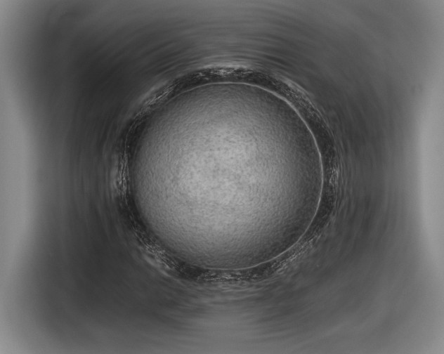 X0000116561014200912171405