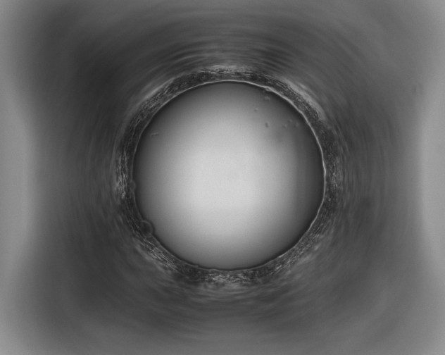 X0000116561015200912171405