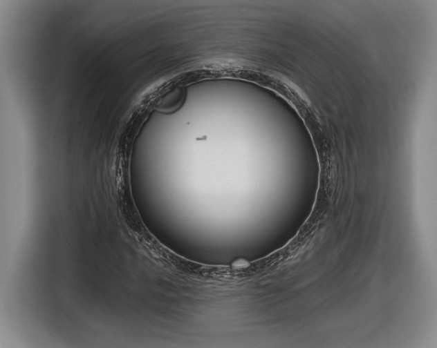 X0000116561016200912171405