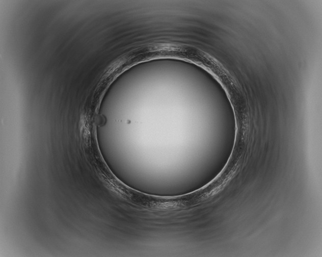 X0000116561017200912171405