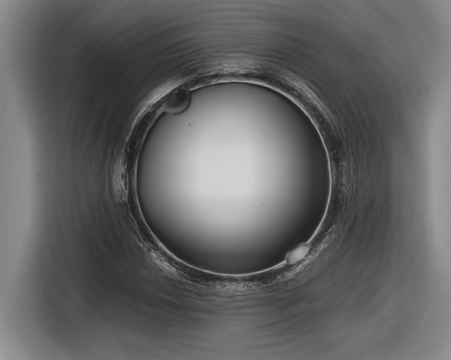 X0000116561018200912171405