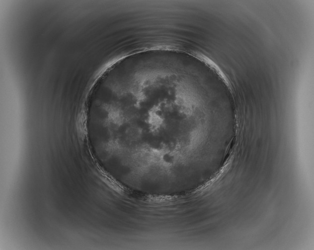 X0000116561019200912171405