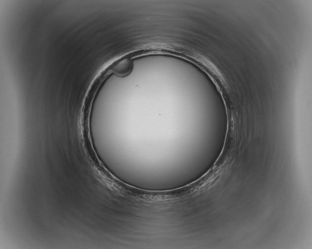 X0000116561020200912171405