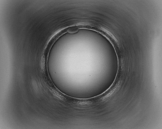 X0000116561021200912171405