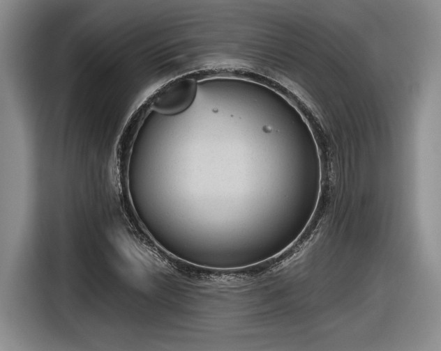 X0000116561022200912171405