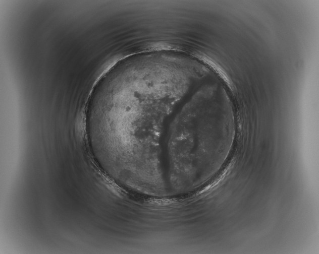 X0000116561023200912171405