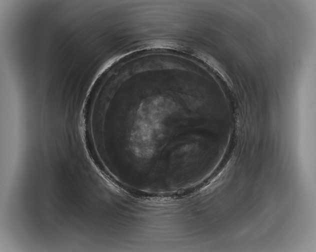 X0000116561024200912171405