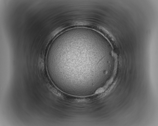 X0000116561025200912171405