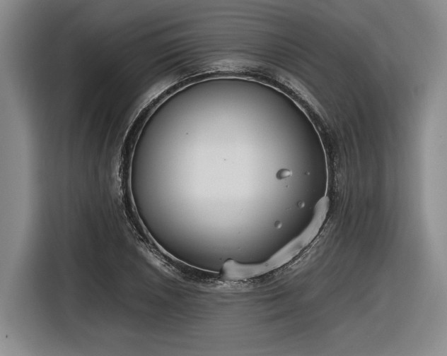 X0000116561026200912171405