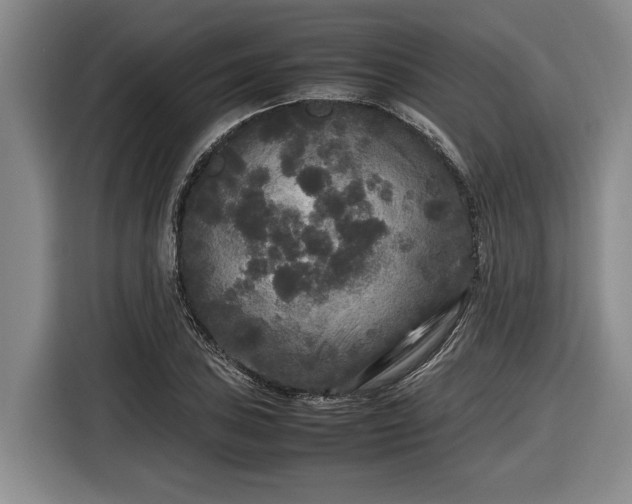 X0000116561027200912171405