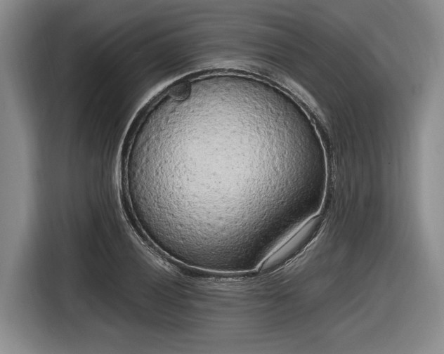 X0000116561028200912171405