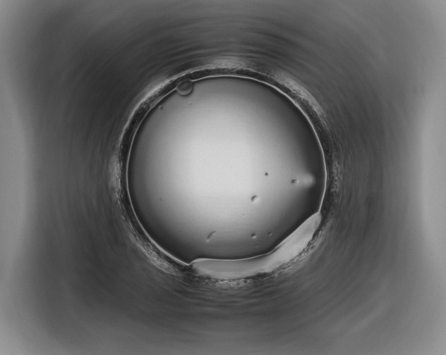 X0000116561029200912171405