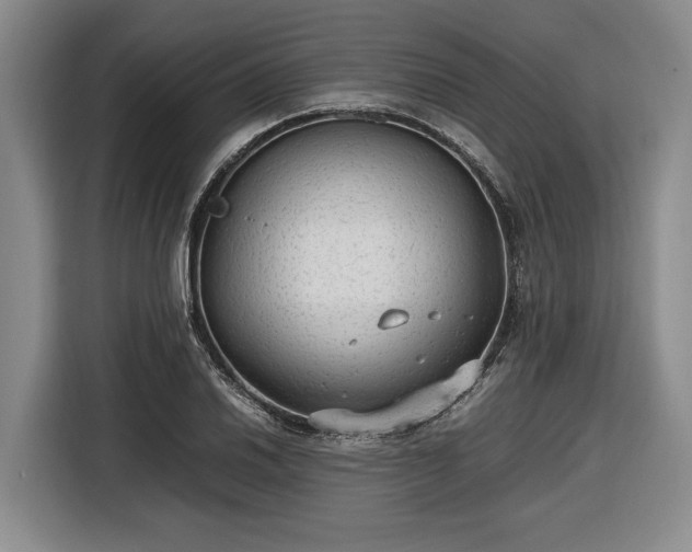 X0000116561030200912171405