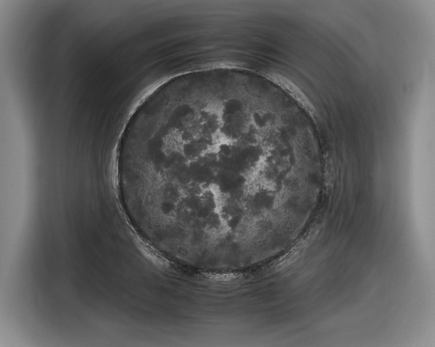 X0000116561031200912171405