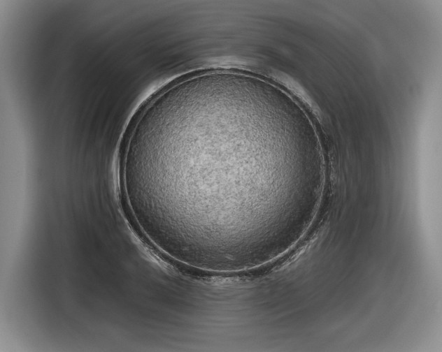 X0000116561032200912171405