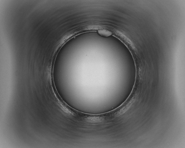 X0000116561033200912171405