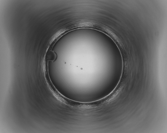 X0000116561034200912171405