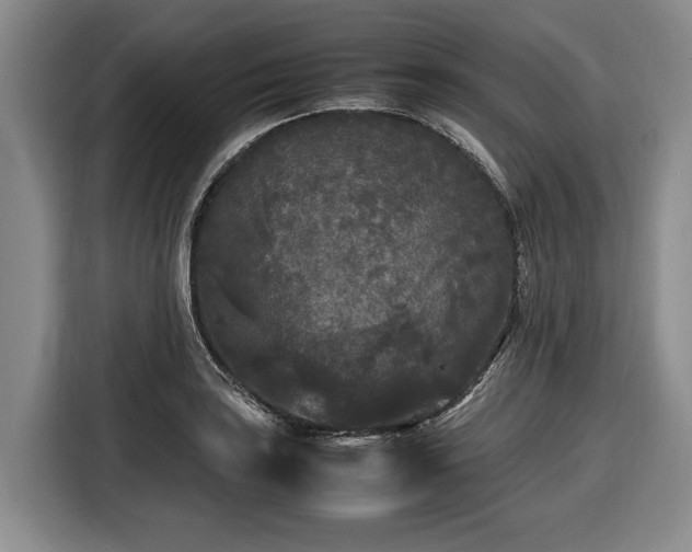 X0000116561035200912171405