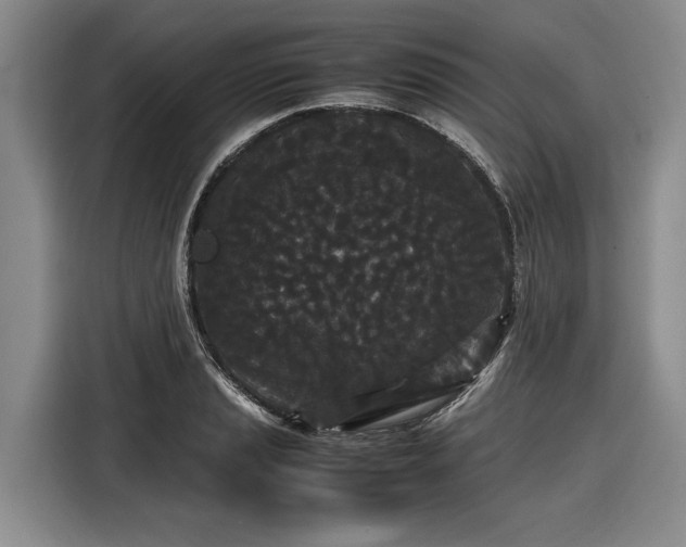 X0000116561037200912171405