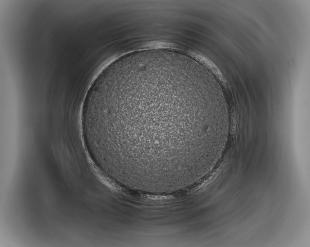 X0000116561039200912171405