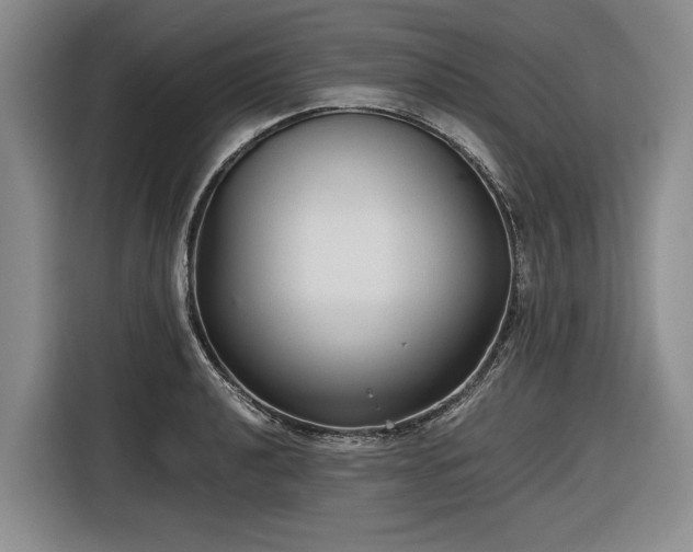 X0000116561040200912171405