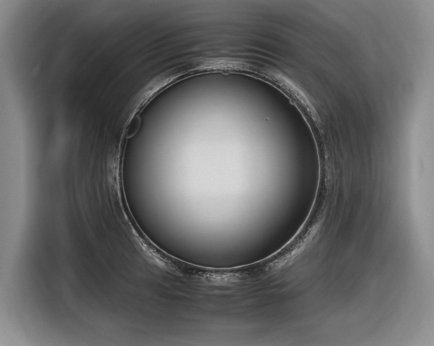 X0000116561041200912171405