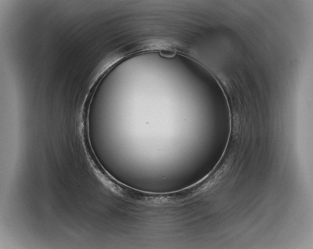 X0000116561042200912171405