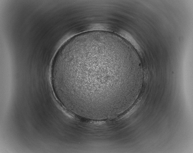 X0000116561043200912171405