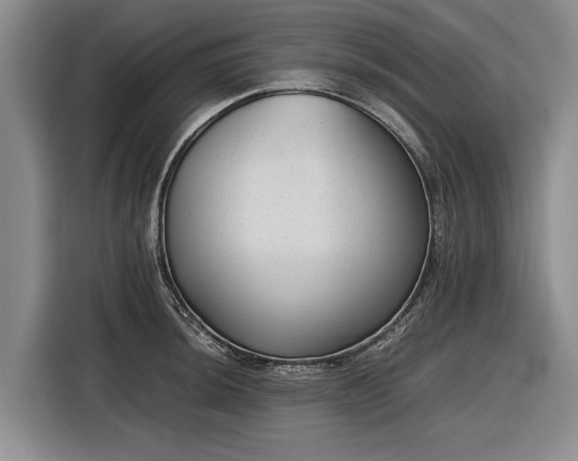 X0000116561044200912171405