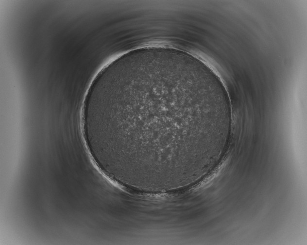 X0000116561045200912171405