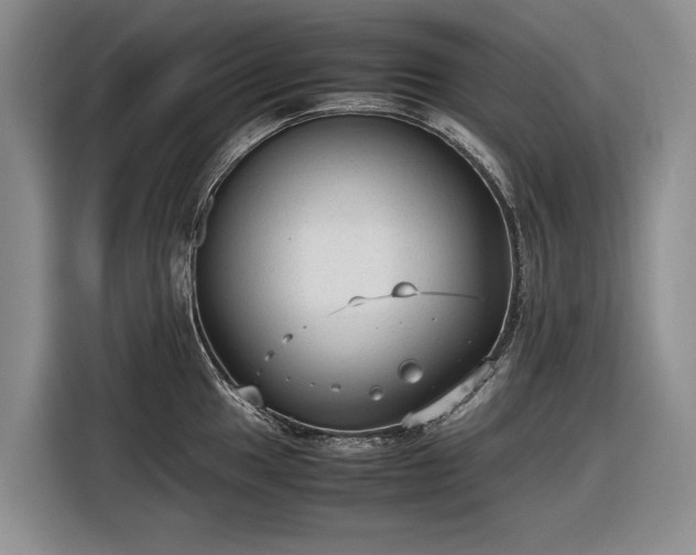 X0000116561049200912171406